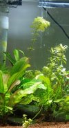 IMG_20200117_184929~2.jpg