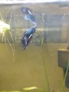 IMG_20200126_112931985.jpg