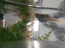 IMG_20200128_123719.jpg