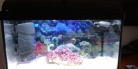 IMG_20200202_100619_832.jpg