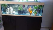 IMG-20190608-WA0006.jpg