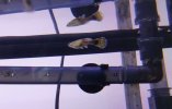 IMG_20200216_111337.jpg
