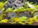 fotos acuario 3.jpg