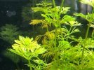 fotos acuario 4.jpg