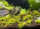 fotos acuario.jpg