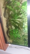 IMG-20200219-WA0049.jpeg
