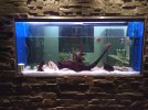 IMG_20170721_085451.jpg