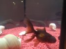 IMG_20200318_211614.jpg