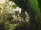 thumbnail_IMG_4342.jpg