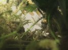 thumbnail_IMG_4344.jpg