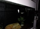 IMG_20200326_212254.jpg