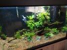 acuario 3.jpg acuario 3.jpg