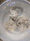 thumbnail (2).jpg thumbnail (2).jpg