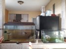 20200507_172612.jpg