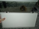 20200523_181103.jpg