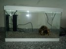 20200523_181157.jpg
