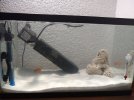 IMG_20200531_184628379.jpg