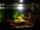 20180501_221202-min.jpg