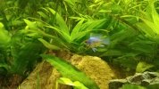 IMG_20200616_090901.jpg