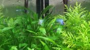 IMG_20200616_091331.jpg