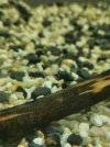 IMG_20200701_170203.jpg