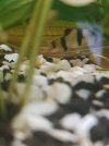 20200701_204643.jpg