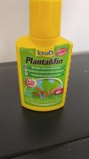 planta1.jpeg