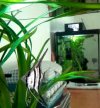 20200708_161954-1.jpg