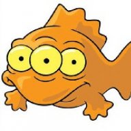 Calamardo