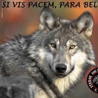 LoboGris