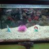 sonywater