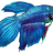 edupalen