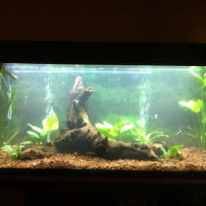 Nuevo proyecto 240l