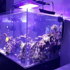 Marino 120l