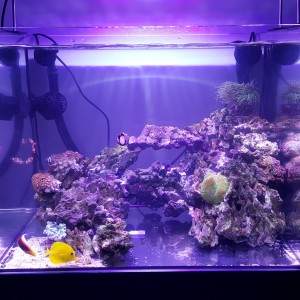 Marino 120l