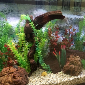 Acuario 400 L - Vista Lateral_1