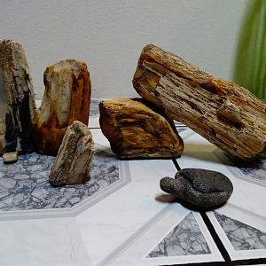 Madera petrificada para adornar el acuario