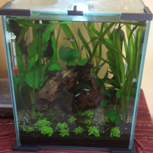 nanoacuario 30l