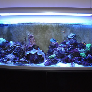 450L