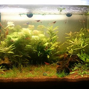 Acuario