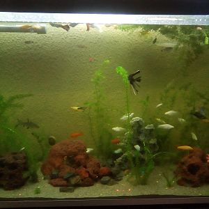 Acuario supercomunitario