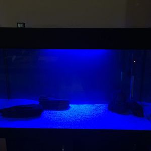 126l redecorado, esta vez con luz de luna