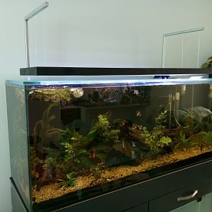 Construyendo el Acuario 200L