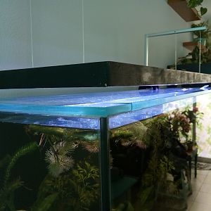 Construyendo el Acuario 200L