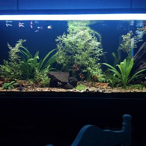 Construyendo el Acuario 200L