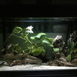 Mi Rincón de Paz