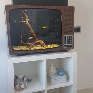 Acuario Televisión