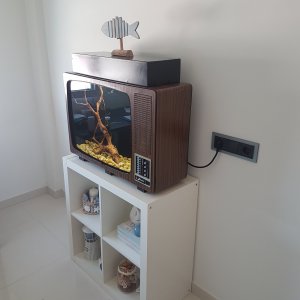 Acuario Televisión