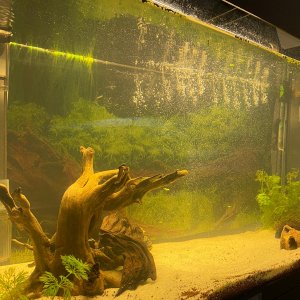 Primer día del acuario !!