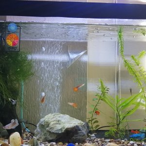 Acuario de 80L netos